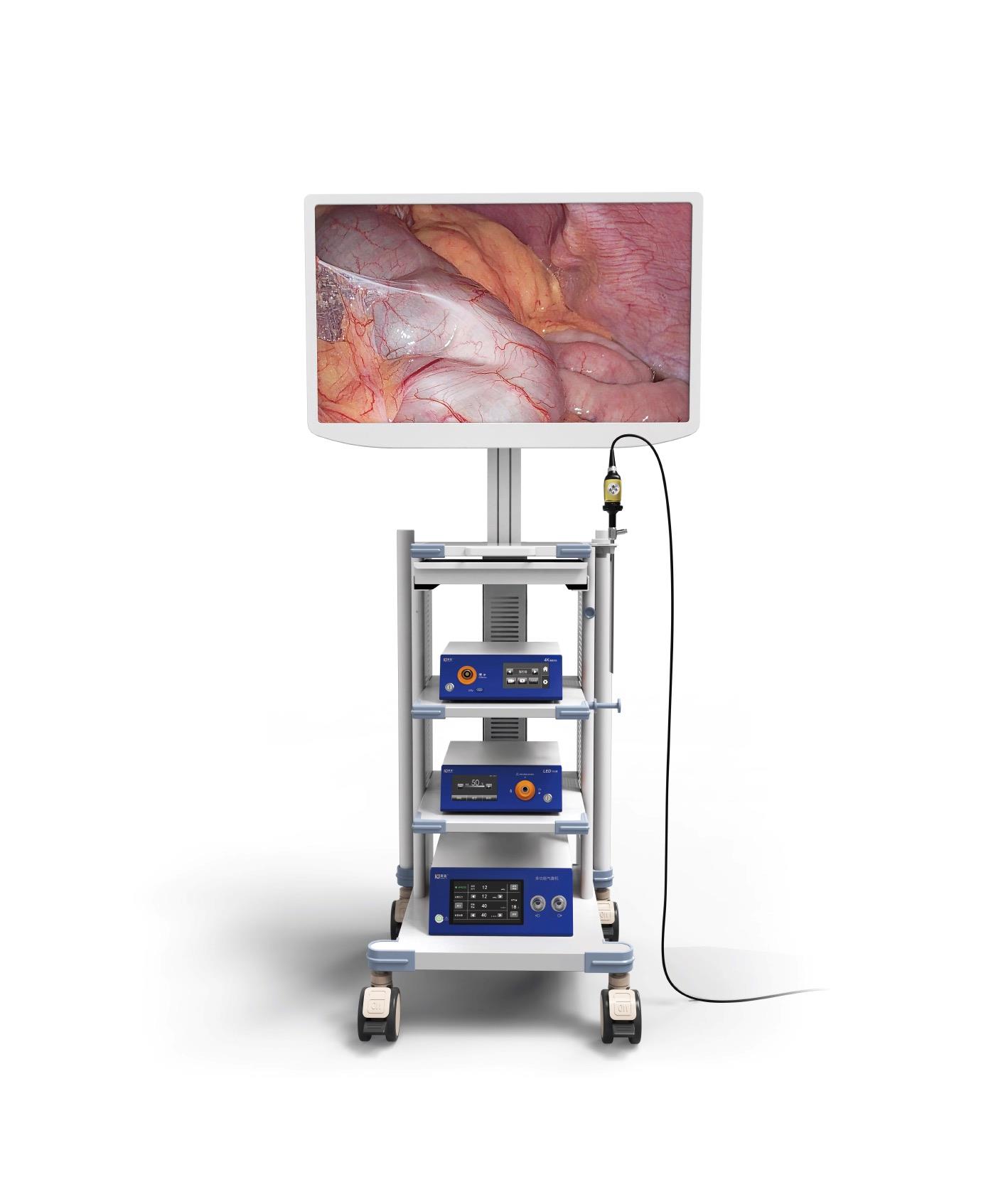 Minimally Invasive Medical Products ---Hunan SECURE