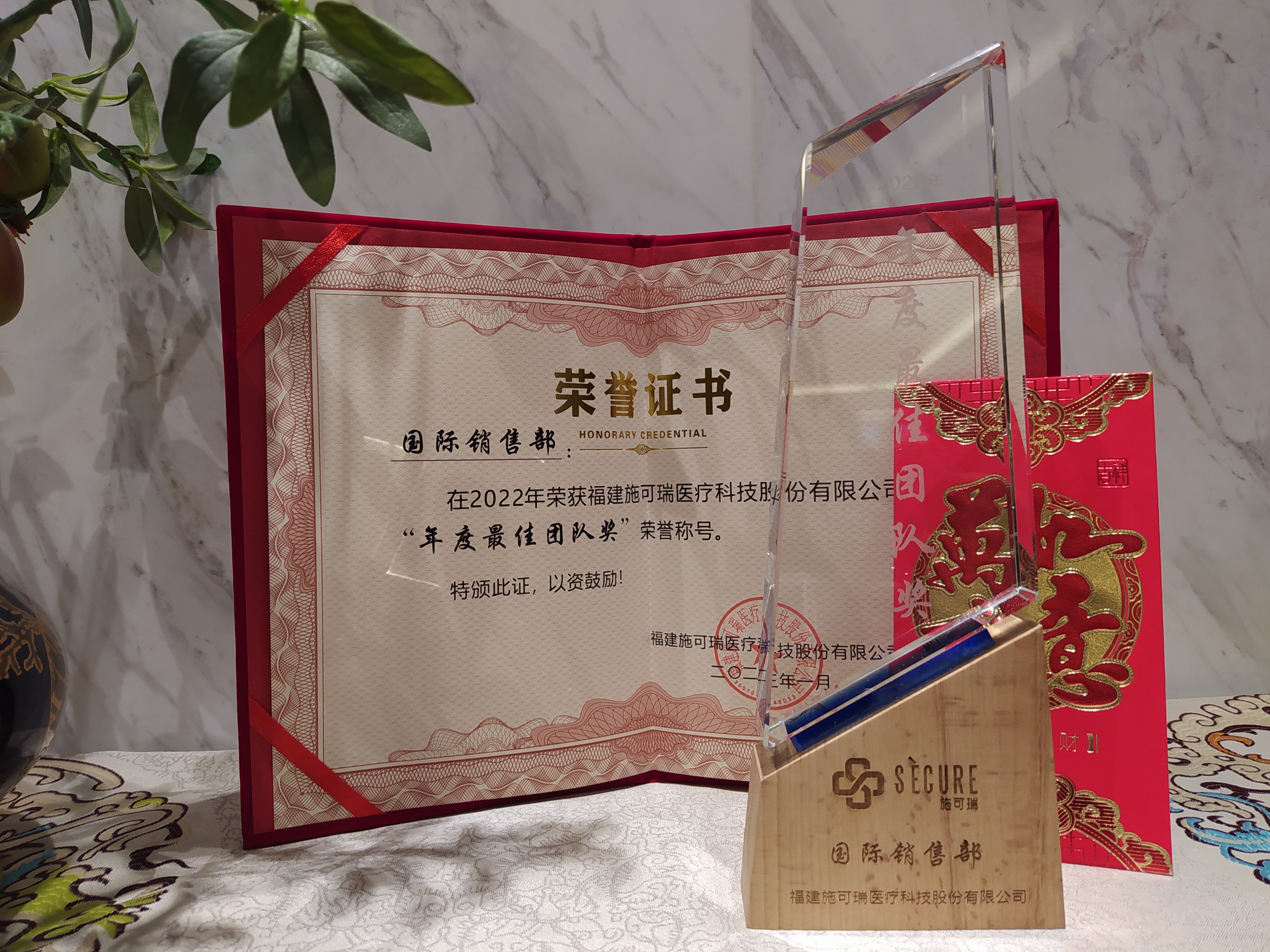 Honorary Credential – Excellent Team Award ( International sales department)